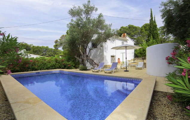 La Cigarra - Photo 1