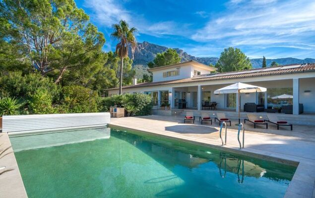 Orquidea 34 - Photo 1