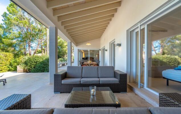 Orquidea 34 - Photo 2