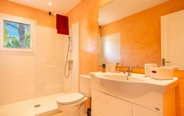 Orquidea 34 - Photo 26