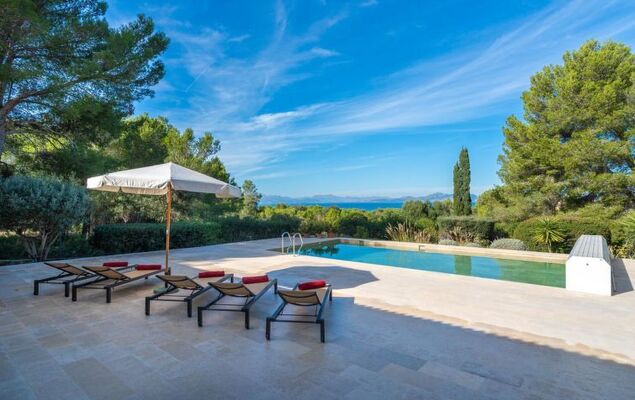 Orquidea 34 - Photo 36