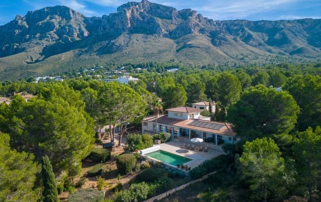 Orquidea 34 - Photo 39