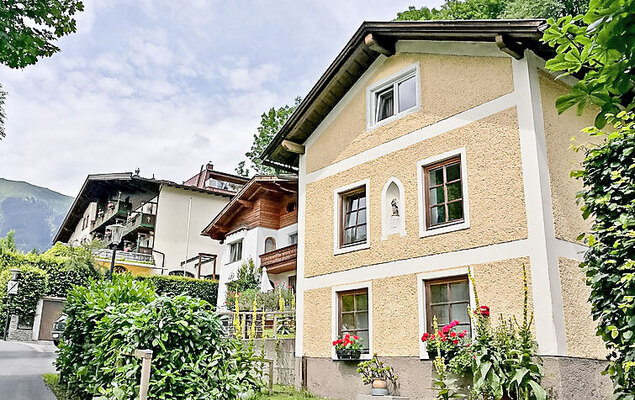 Dr.Steiner - Photo 20