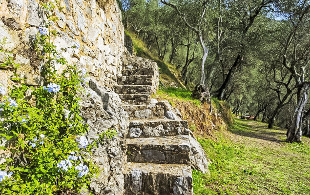 La Capannella - Photo 31