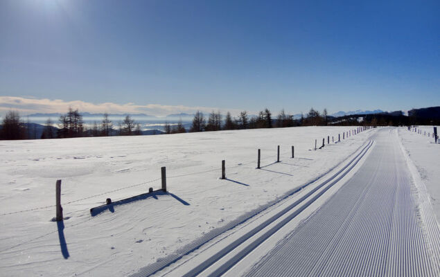 Chalet Amsel - Photo 18