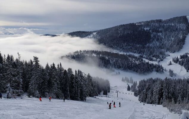 Chalet Amsel - Photo 24