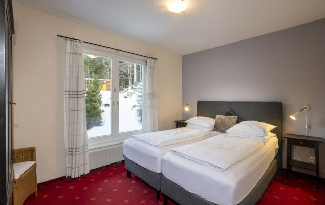 Steindlwald - Photo 20