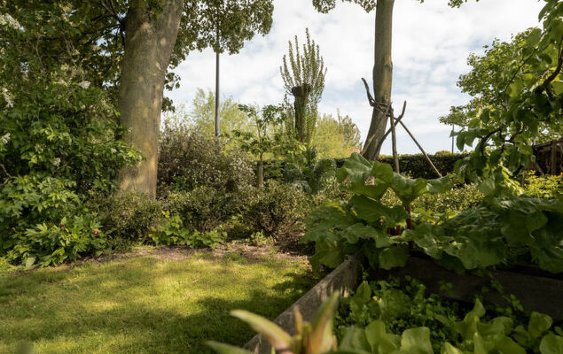 Domicile adoré - Photo 42